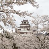 鶴ヶ城桜まつり
