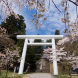 猪苗代町 土津神社の桜