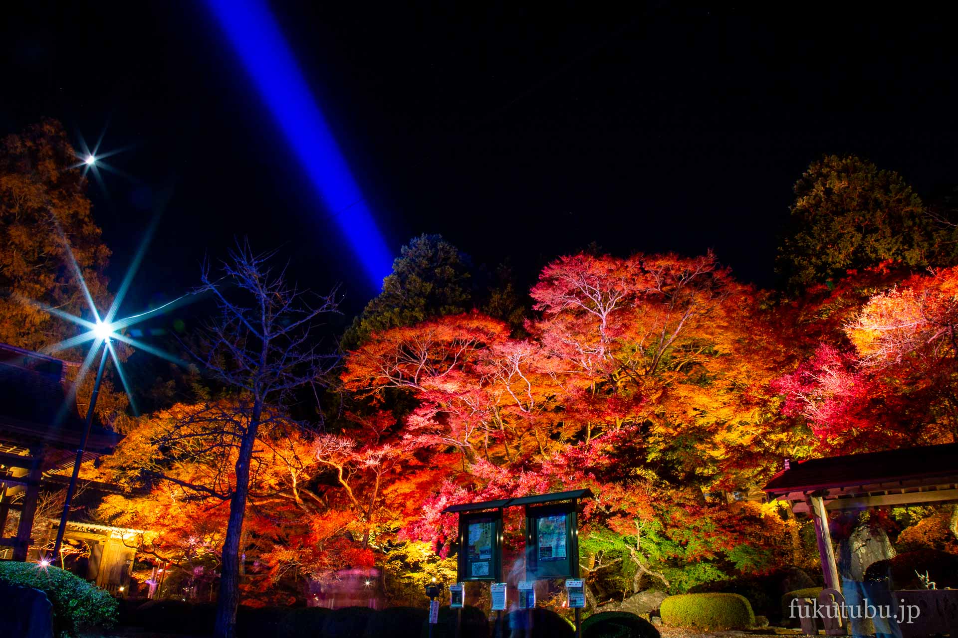 Hozo-ji Don't Miss the Autumn Foliage Lighting Event!